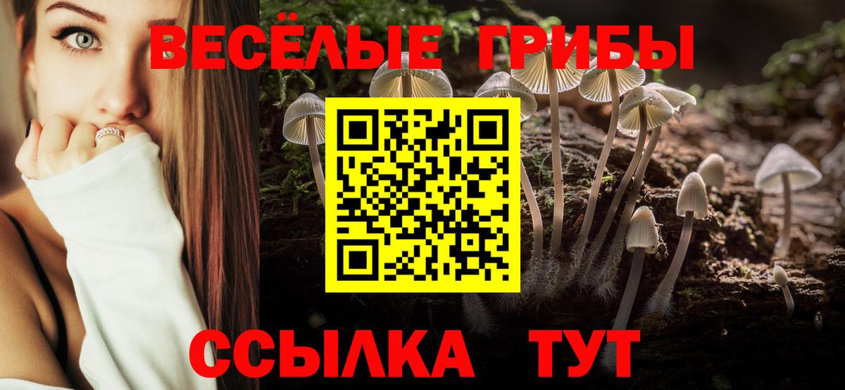Братск  Галлюциногенные грибы Psilocybine cubensis  Вход с VPN  Галлюциногенные грибы прущие грибы 